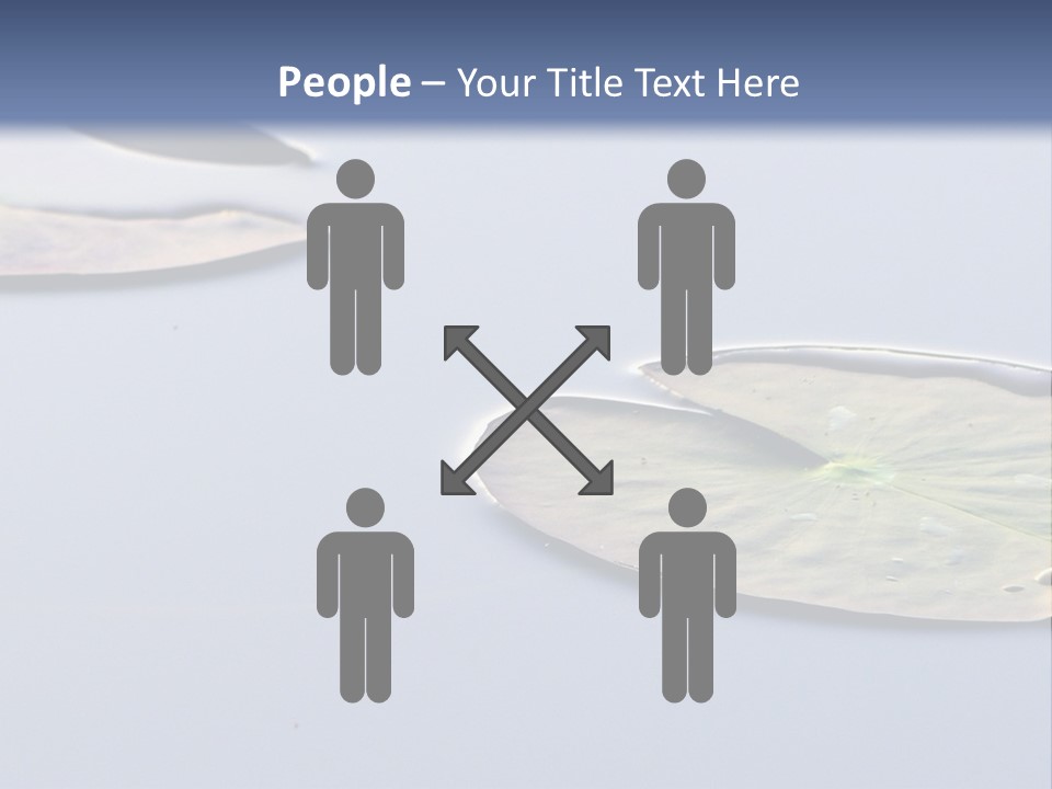 Two Water Lilies Floating On Top Of A Lake PowerPoint Template