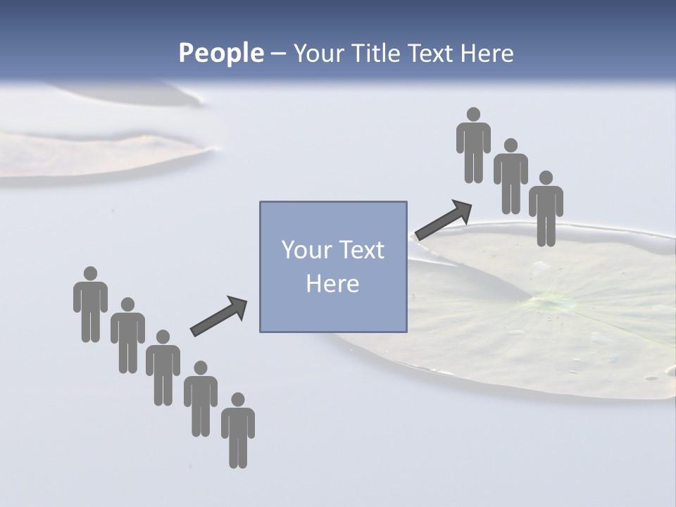 Two Water Lilies Floating On Top Of A Lake PowerPoint Template