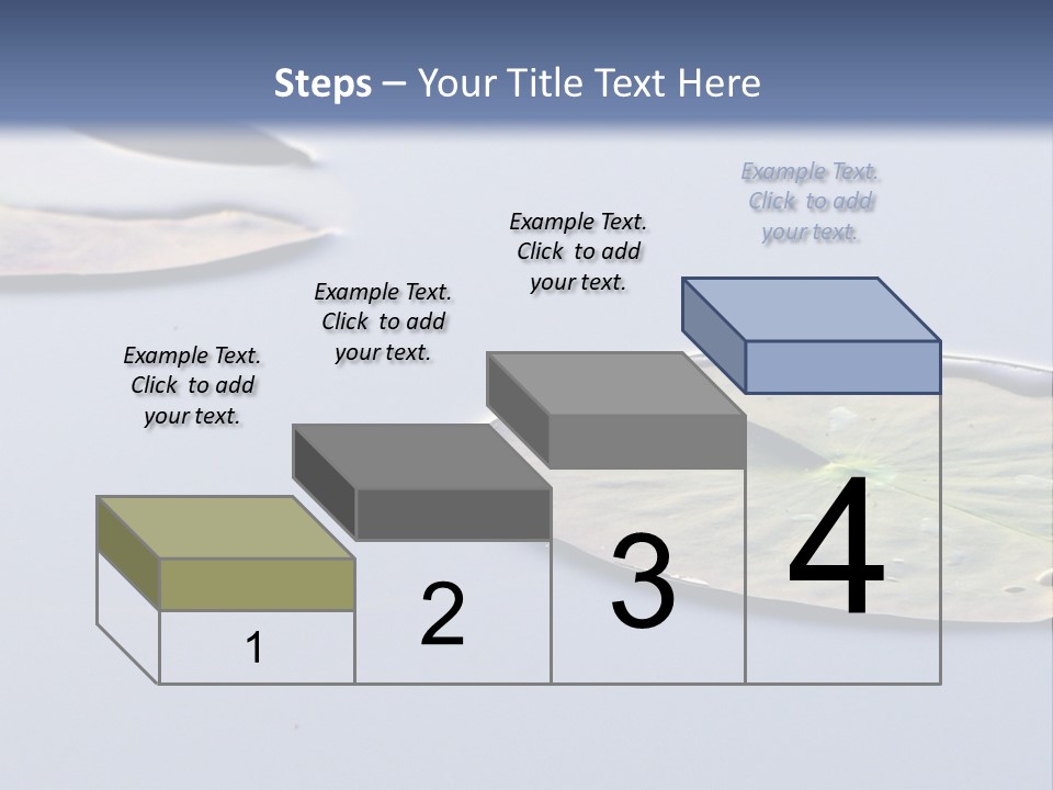 Two Water Lilies Floating On Top Of A Lake PowerPoint Template