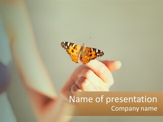 A Person Holding A Butterfly In Their Hand PowerPoint Template