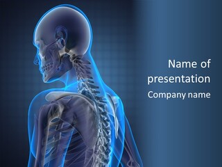 A Skeleton Is Shown With A Blue Background PowerPoint Template