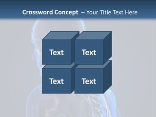 A Skeleton Is Shown With A Blue Background PowerPoint Template