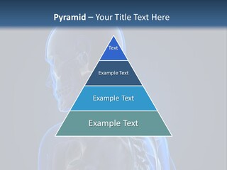 A Skeleton Is Shown With A Blue Background PowerPoint Template