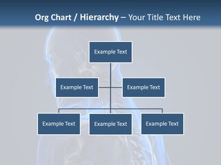 A Skeleton Is Shown With A Blue Background PowerPoint Template