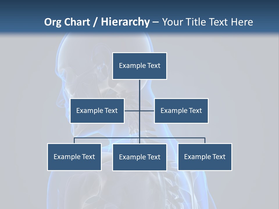 A Skeleton Is Shown With A Blue Background PowerPoint Template
