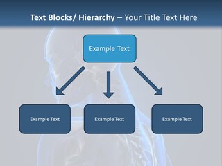 A Skeleton Is Shown With A Blue Background PowerPoint Template