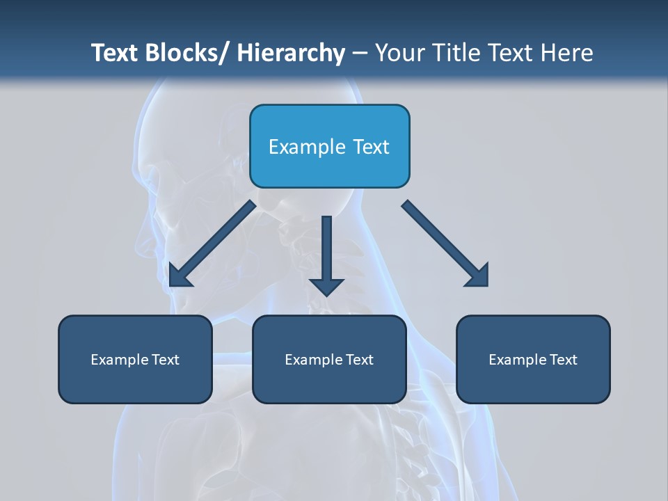 A Skeleton Is Shown With A Blue Background PowerPoint Template