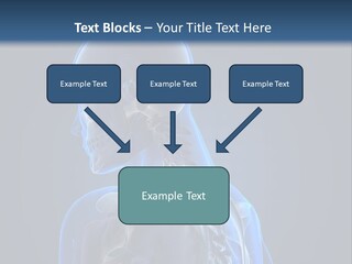 A Skeleton Is Shown With A Blue Background PowerPoint Template