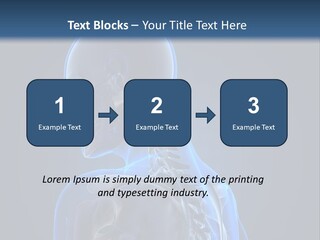 A Skeleton Is Shown With A Blue Background PowerPoint Template