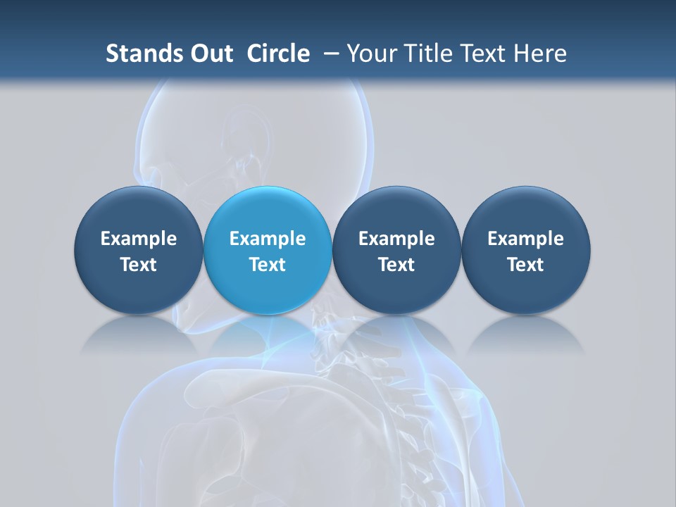 A Skeleton Is Shown With A Blue Background PowerPoint Template
