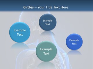 A Skeleton Is Shown With A Blue Background PowerPoint Template