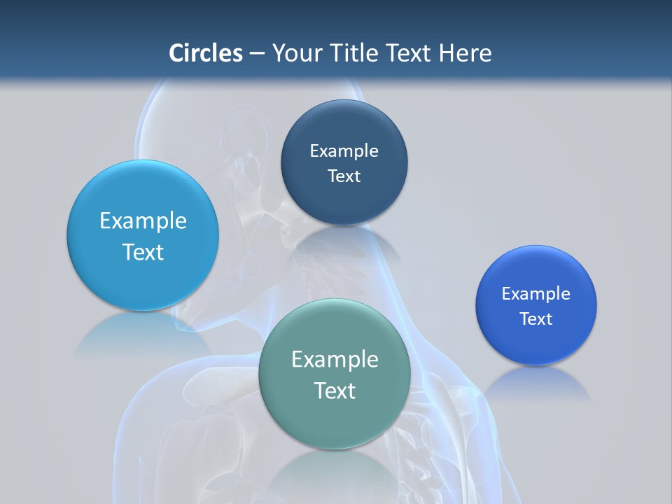 A Skeleton Is Shown With A Blue Background PowerPoint Template