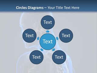 A Skeleton Is Shown With A Blue Background PowerPoint Template