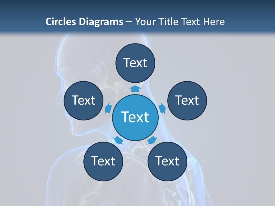 A Skeleton Is Shown With A Blue Background PowerPoint Template