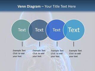 A Skeleton Is Shown With A Blue Background PowerPoint Template
