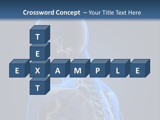 A Skeleton Is Shown With A Blue Background PowerPoint Template