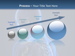A Skeleton Is Shown With A Blue Background PowerPoint Template