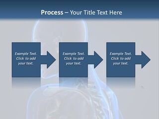 A Skeleton Is Shown With A Blue Background PowerPoint Template