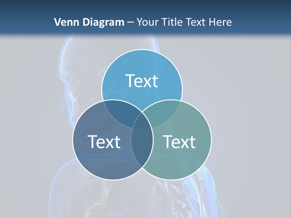 A Skeleton Is Shown With A Blue Background PowerPoint Template