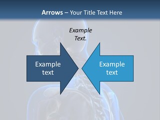 A Skeleton Is Shown With A Blue Background PowerPoint Template