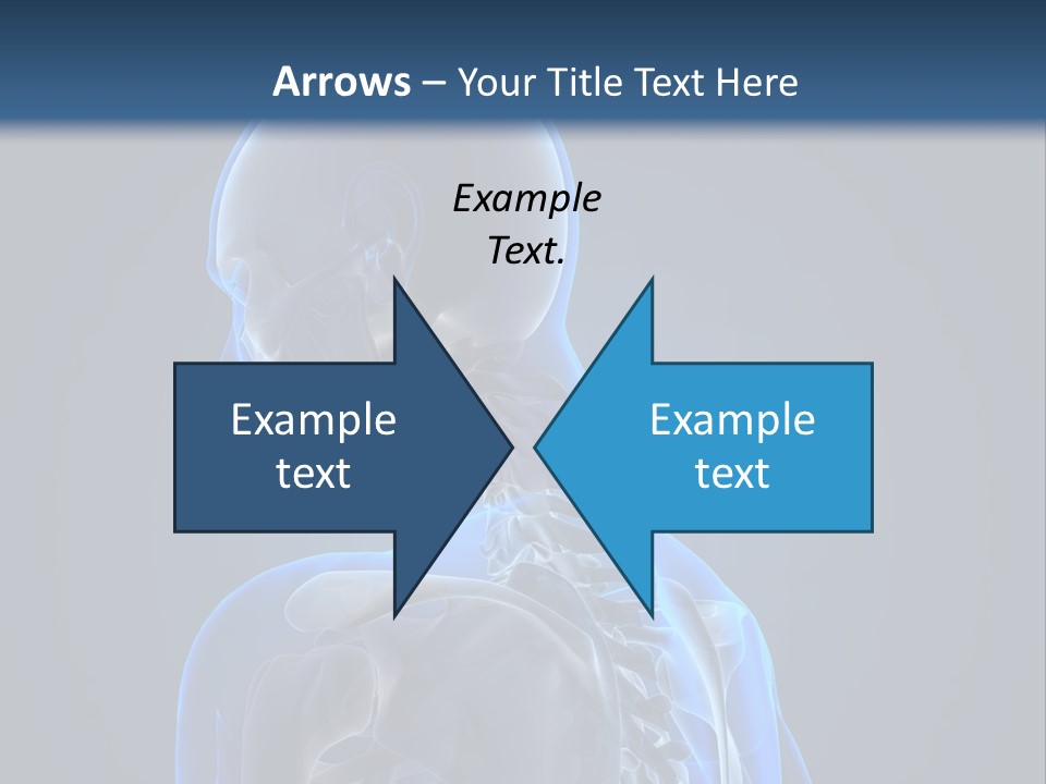 A Skeleton Is Shown With A Blue Background PowerPoint Template
