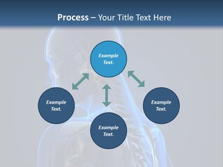A Skeleton Is Shown With A Blue Background PowerPoint Template