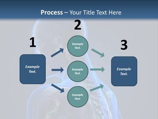 A Skeleton Is Shown With A Blue Background PowerPoint Template
