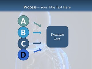 A Skeleton Is Shown With A Blue Background PowerPoint Template