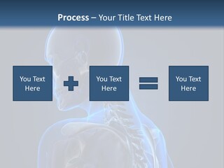 A Skeleton Is Shown With A Blue Background PowerPoint Template