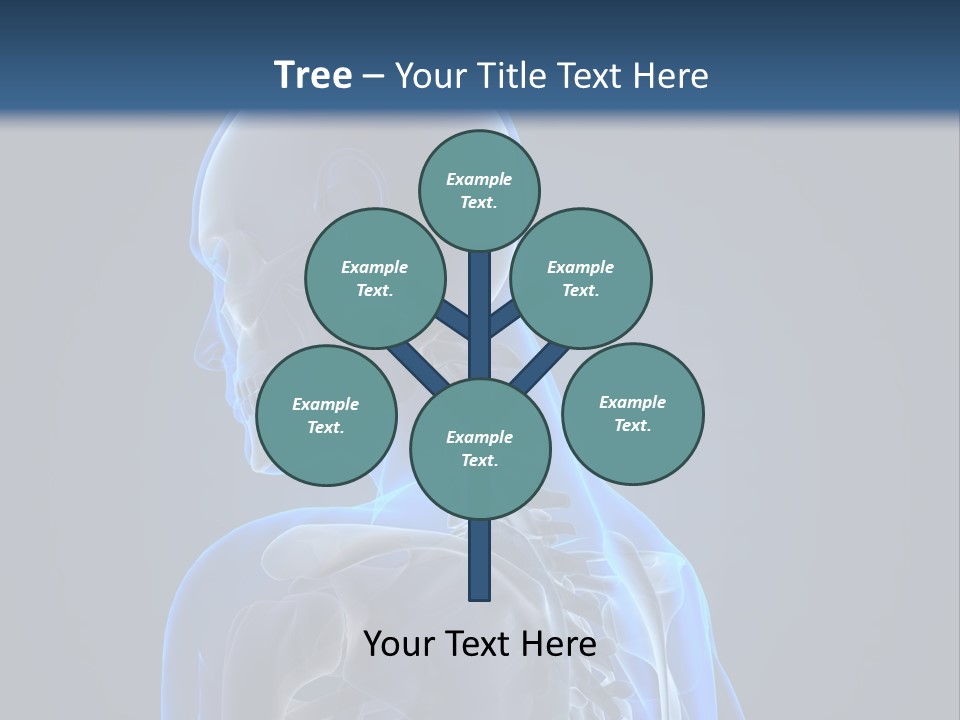 A Skeleton Is Shown With A Blue Background PowerPoint Template