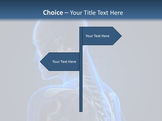 A Skeleton Is Shown With A Blue Background PowerPoint Template