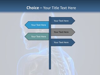A Skeleton Is Shown With A Blue Background PowerPoint Template