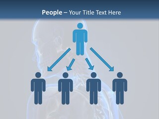 A Skeleton Is Shown With A Blue Background PowerPoint Template