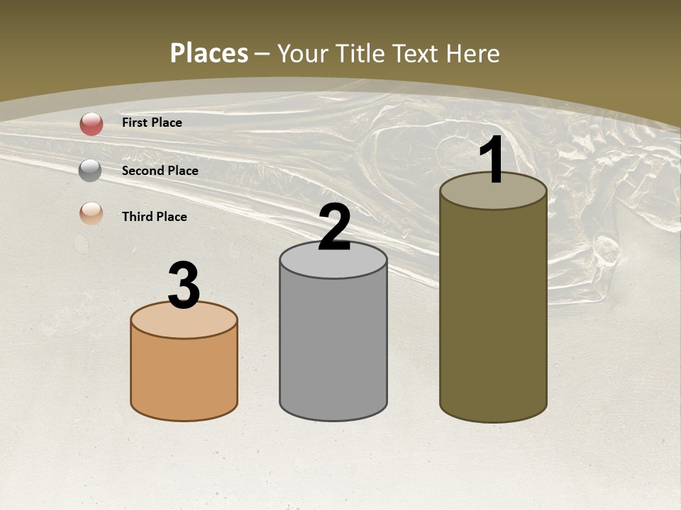 A Large Bird With A Long Beak Is Shown In This Presentation PowerPoint Template