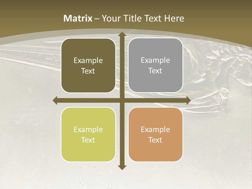 A Large Bird With A Long Beak Is Shown In This Presentation PowerPoint Template