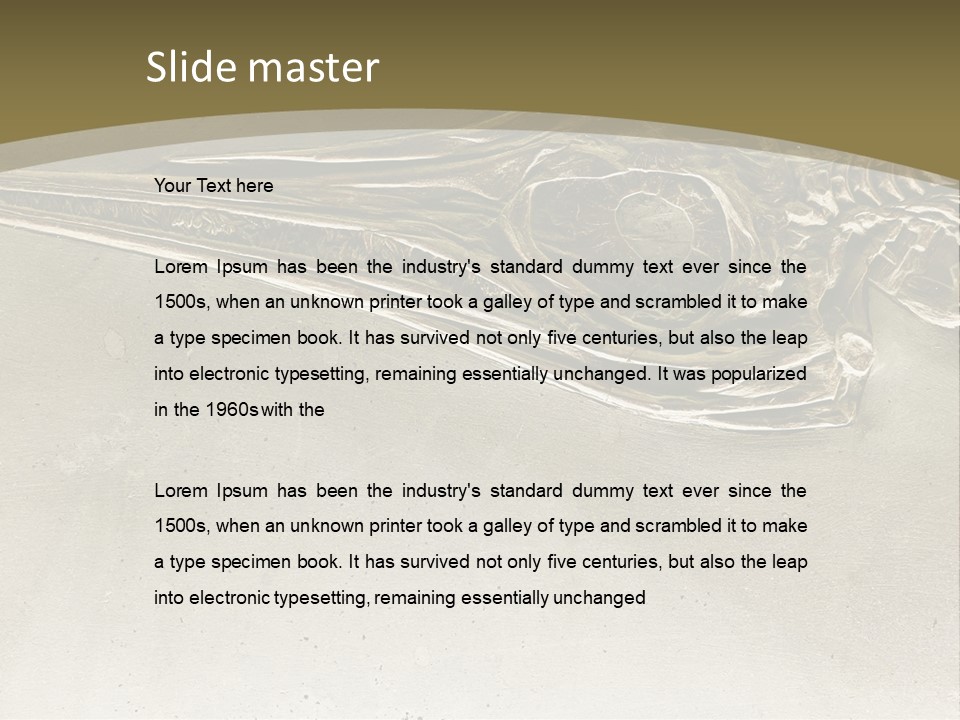 A Large Bird With A Long Beak Is Shown In This Presentation PowerPoint Template