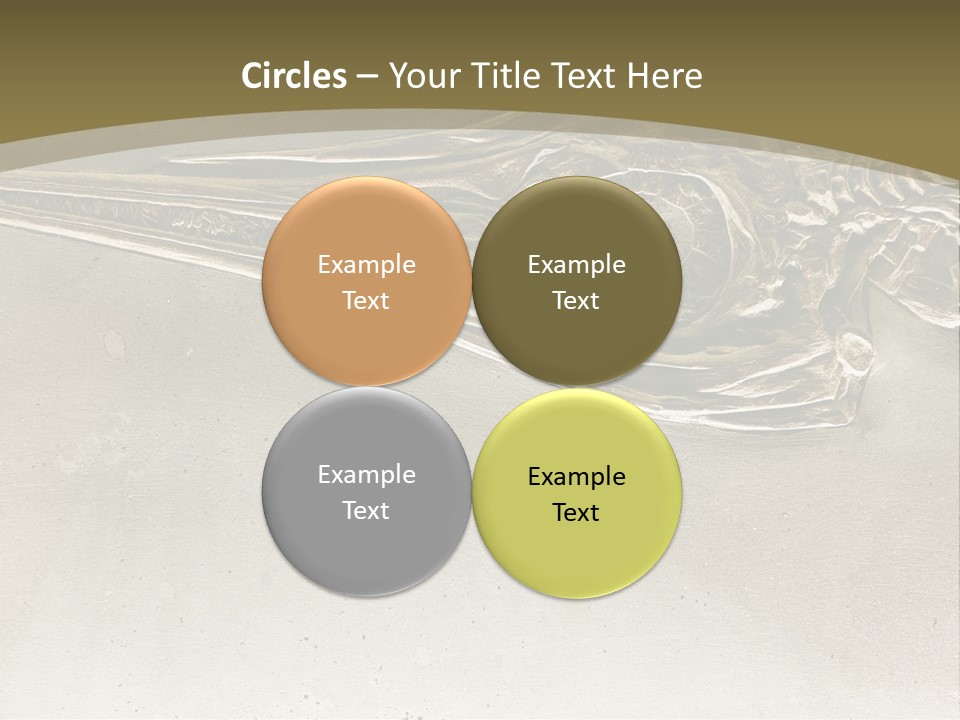 A Large Bird With A Long Beak Is Shown In This Presentation PowerPoint Template