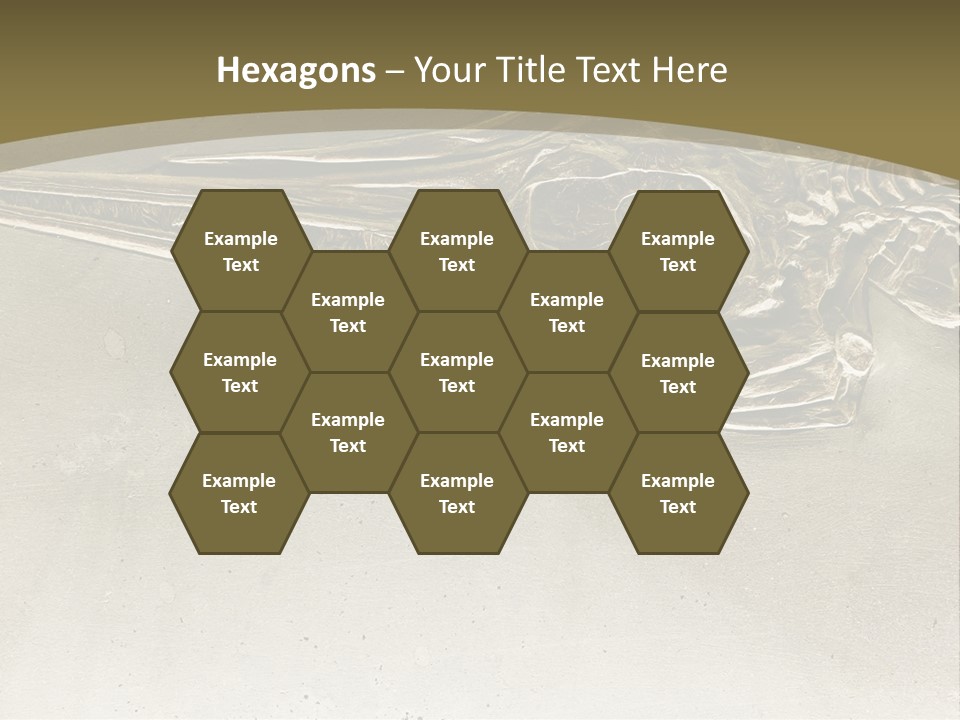 A Large Bird With A Long Beak Is Shown In This Presentation PowerPoint Template