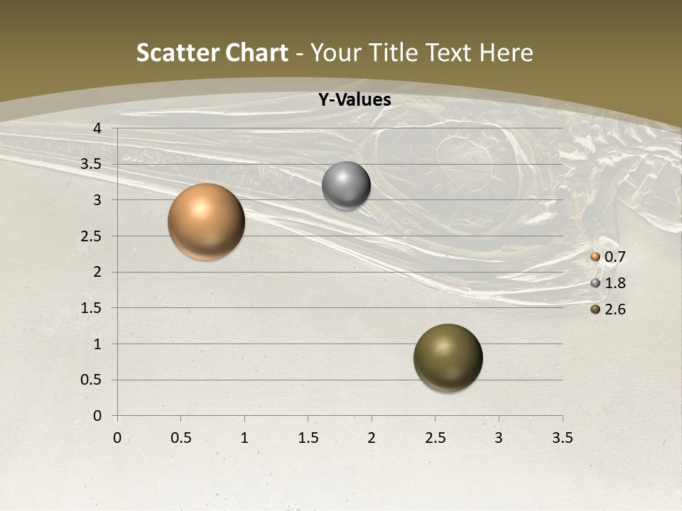 A Large Bird With A Long Beak Is Shown In This Presentation PowerPoint Template
