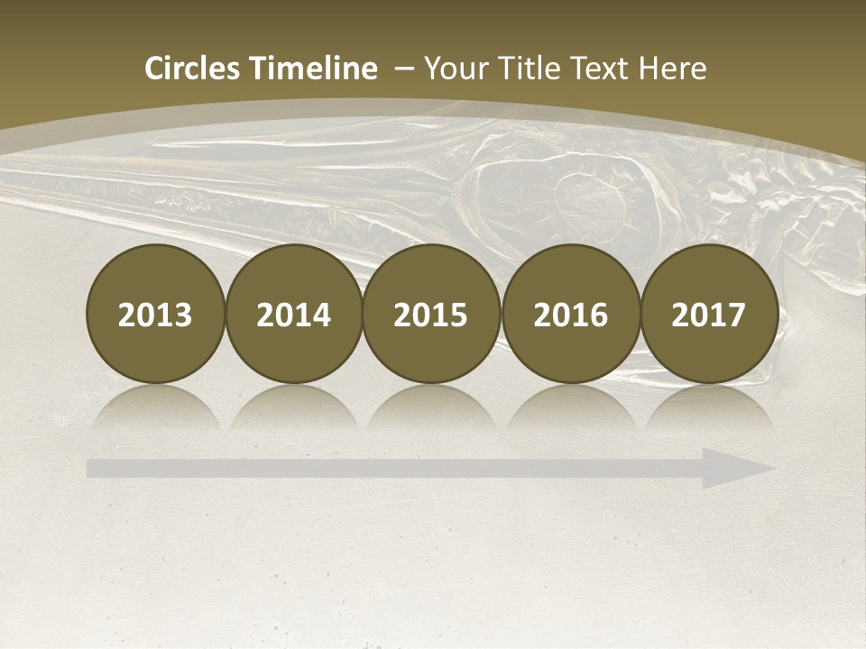 A Large Bird With A Long Beak Is Shown In This Presentation PowerPoint Template