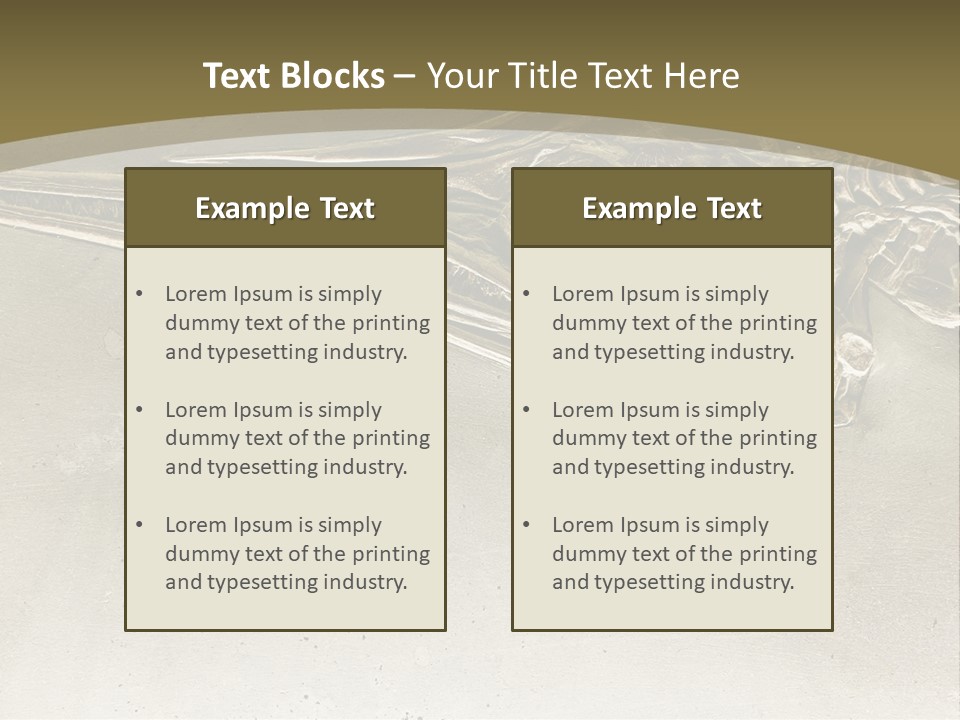 A Large Bird With A Long Beak Is Shown In This Presentation PowerPoint Template