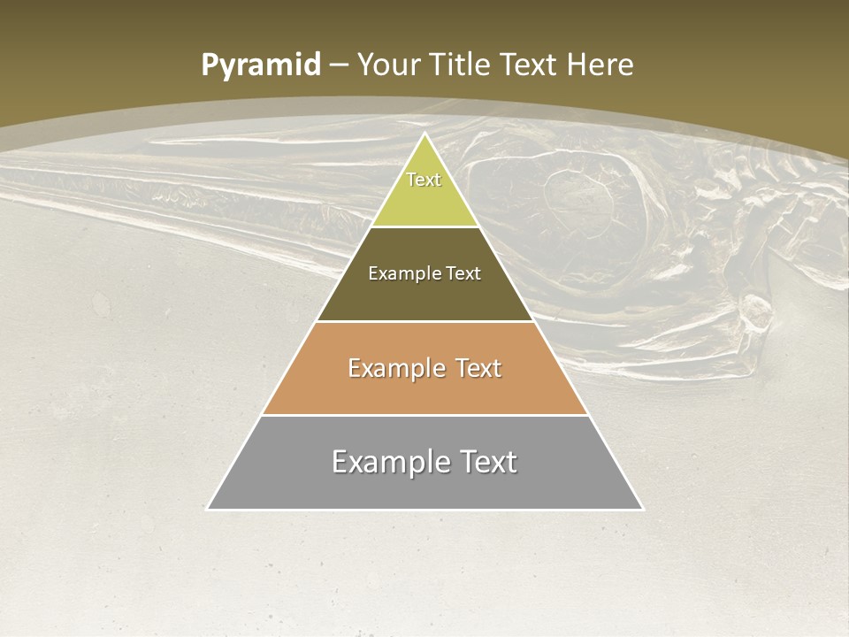 A Large Bird With A Long Beak Is Shown In This Presentation PowerPoint Template