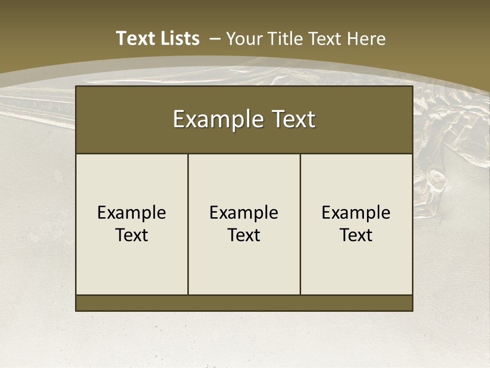 A Large Bird With A Long Beak Is Shown In This Presentation PowerPoint Template