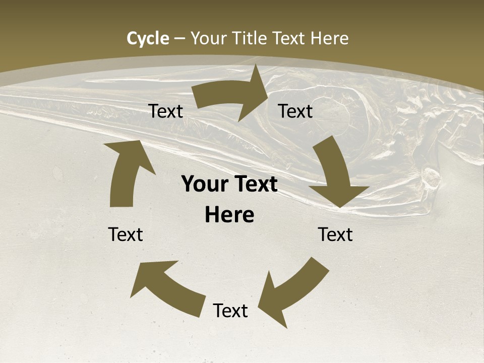 A Large Bird With A Long Beak Is Shown In This Presentation PowerPoint Template