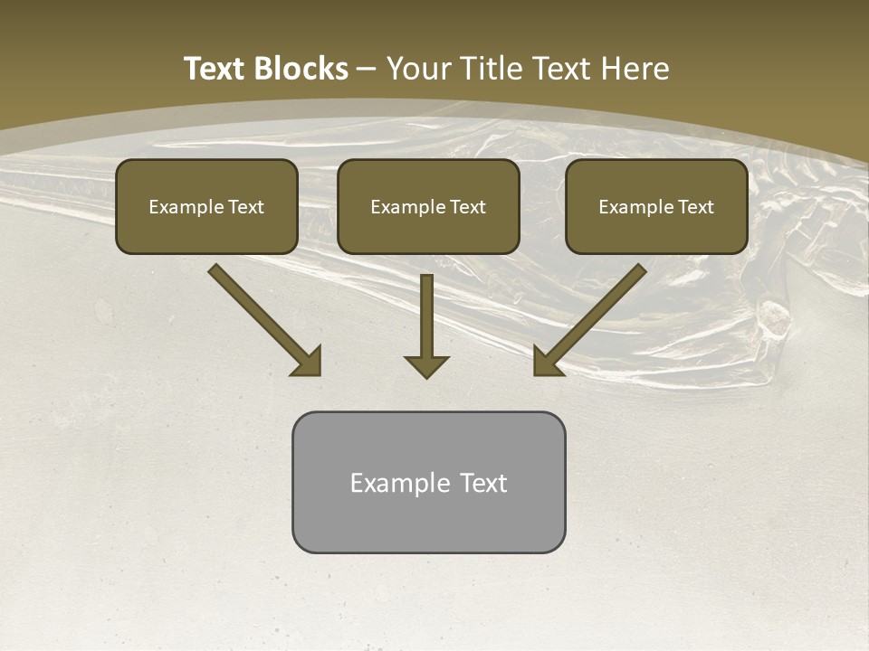 A Large Bird With A Long Beak Is Shown In This Presentation PowerPoint Template