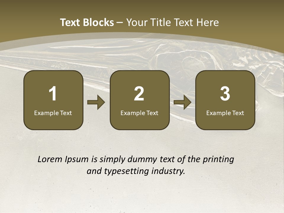 A Large Bird With A Long Beak Is Shown In This Presentation PowerPoint Template