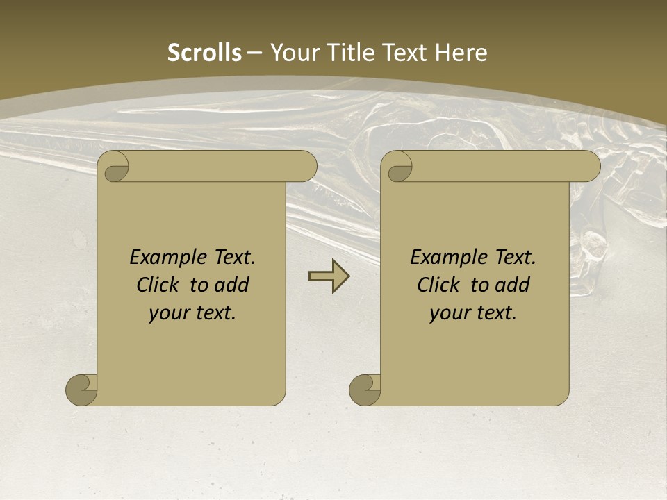 A Large Bird With A Long Beak Is Shown In This Presentation PowerPoint Template