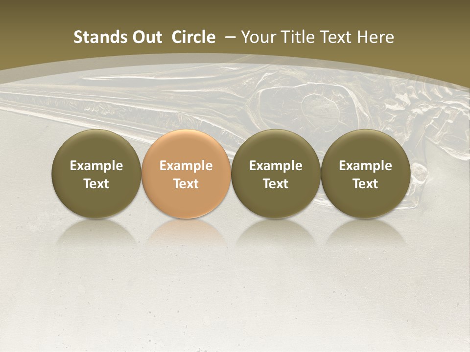 A Large Bird With A Long Beak Is Shown In This Presentation PowerPoint Template