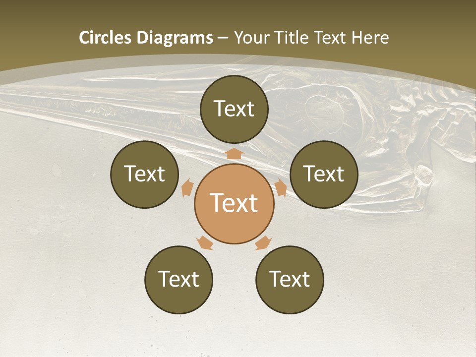 A Large Bird With A Long Beak Is Shown In This Presentation PowerPoint Template