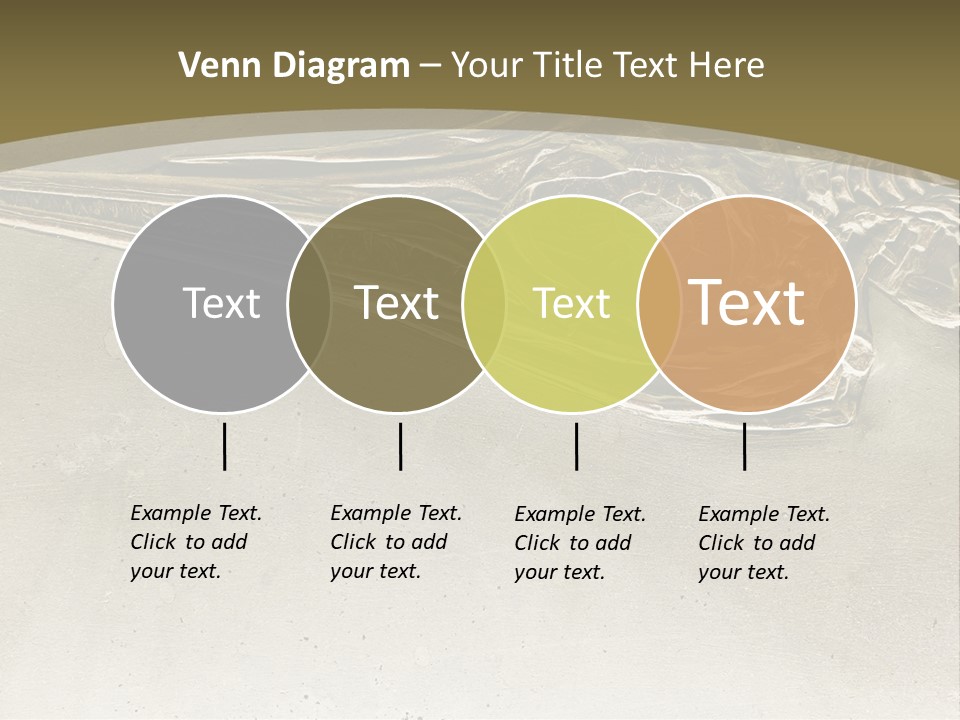 A Large Bird With A Long Beak Is Shown In This Presentation PowerPoint Template